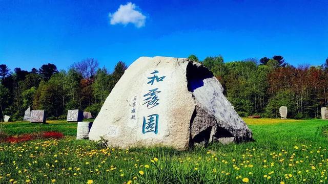 万词王