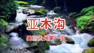 冷知识分享平台-药物的基本作用和不同给药途径对药物作用的影响,揭秘生活中的冷门知识