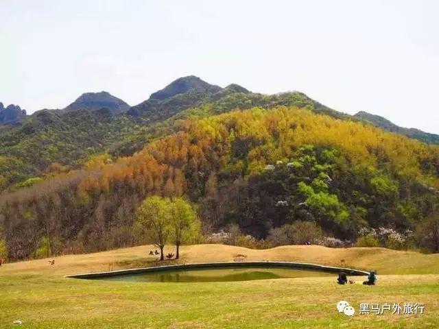 小猫钓鱼开船版最新版下载